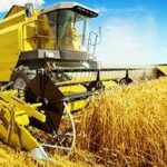 糧價警訊 烏國：黑海續封鎖 小麥栽種將減2/3